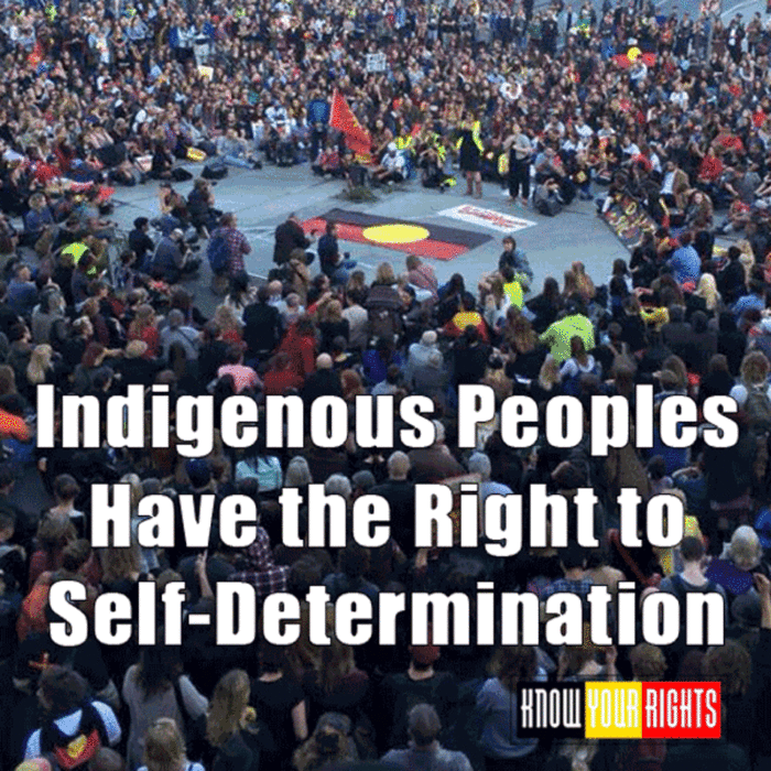 Indigenous Peoples have the right